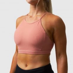 Born Primitive New Arrivals Perseverance Sports Bra (Terracotta)