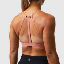 Born Primitive New Arrivals Perseverance Sports Bra (Terracotta)