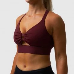 Born Primitive New Arrivals The Tenacity Sports Bra (Merlot)