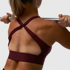 Born Primitive New Arrivals The Tenacity Sports Bra (Merlot)
